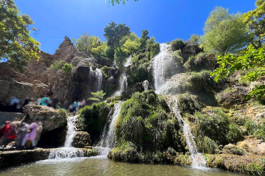گزارش خدمتگزاری اردیبهشت ماه 1404